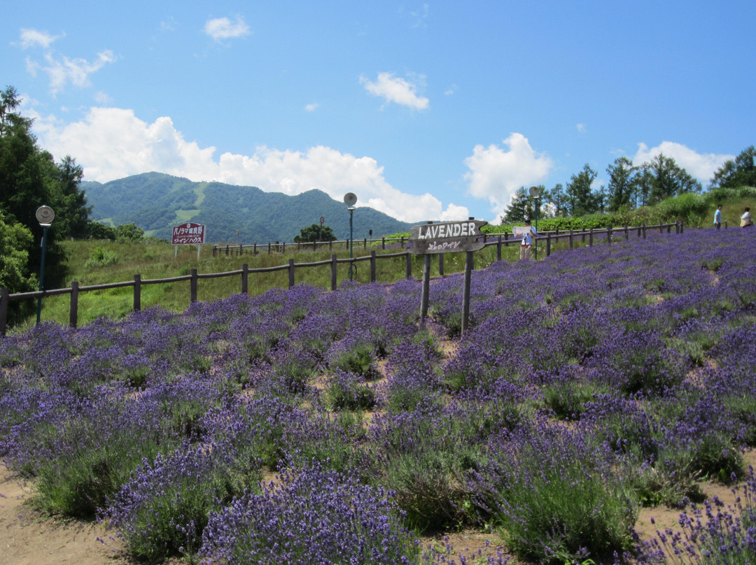 Furano Wine Factory-富良野市必去景点