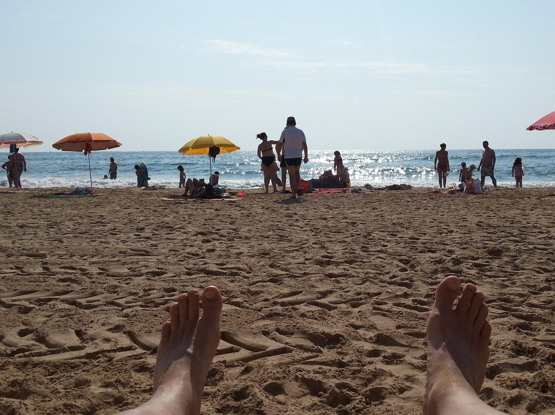 Guardamar Moncayo Beach景点图片