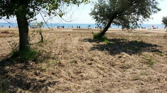 Spiaggia del Pizzomunno-维耶斯泰必去景点