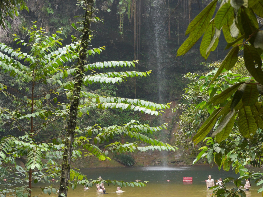 Lambir Hills National Park-美里必去景点