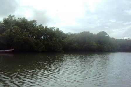 Barra Grande Beach景点图片