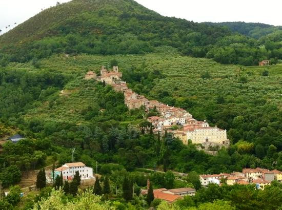 Storico Giardino Garzoni -  Casa delle Farfalle景点图片