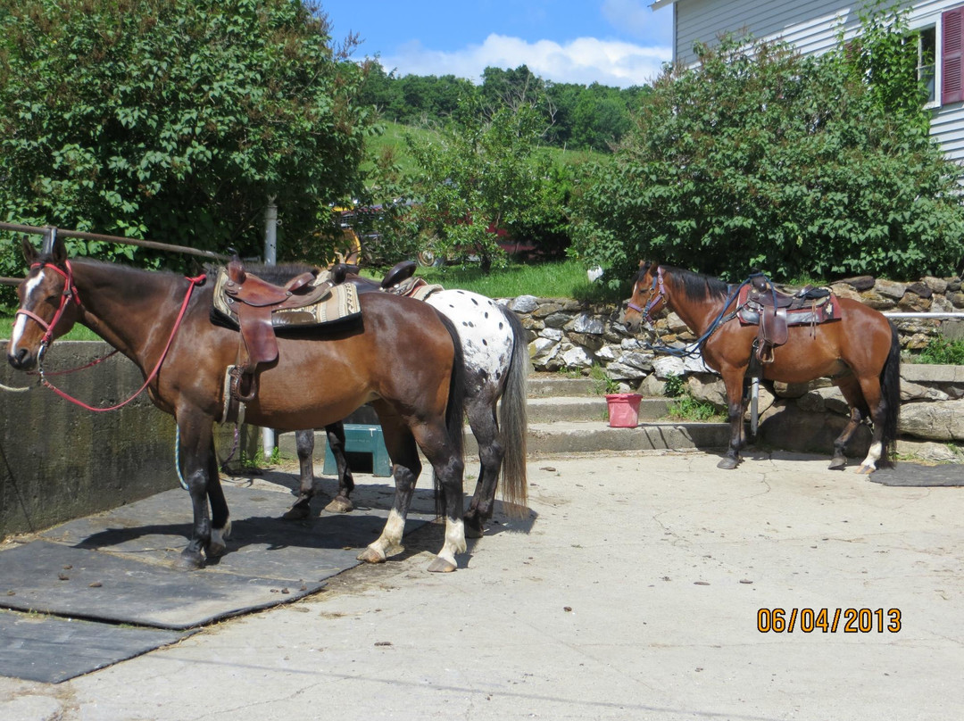 Mountain View Ranch-Danby必去景点