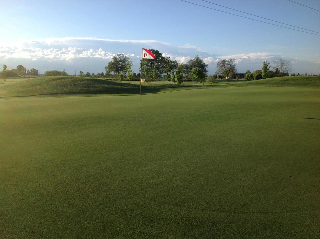 Torre dei Ronchi Golf Club景点图片