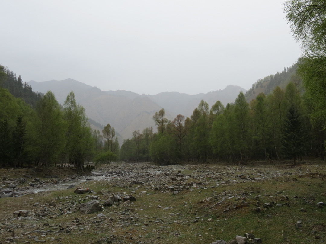 互助北山国家森林地质公园景点图片