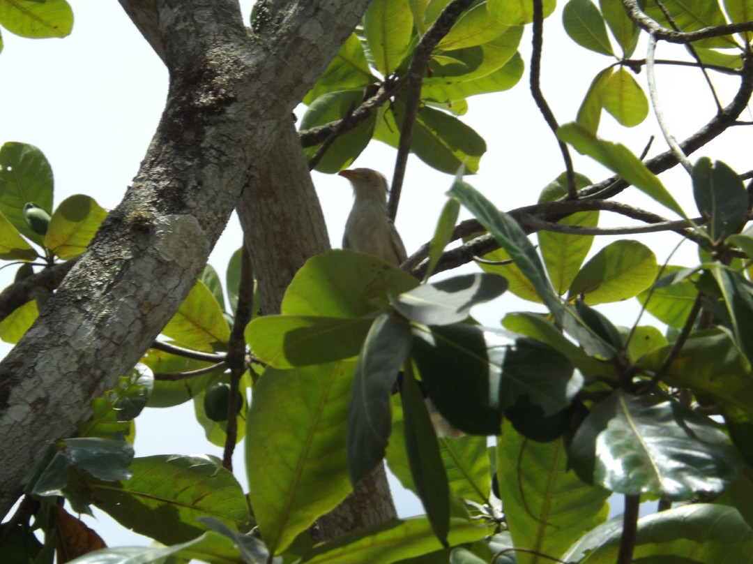 Pousada Rural Estacao Verde主图