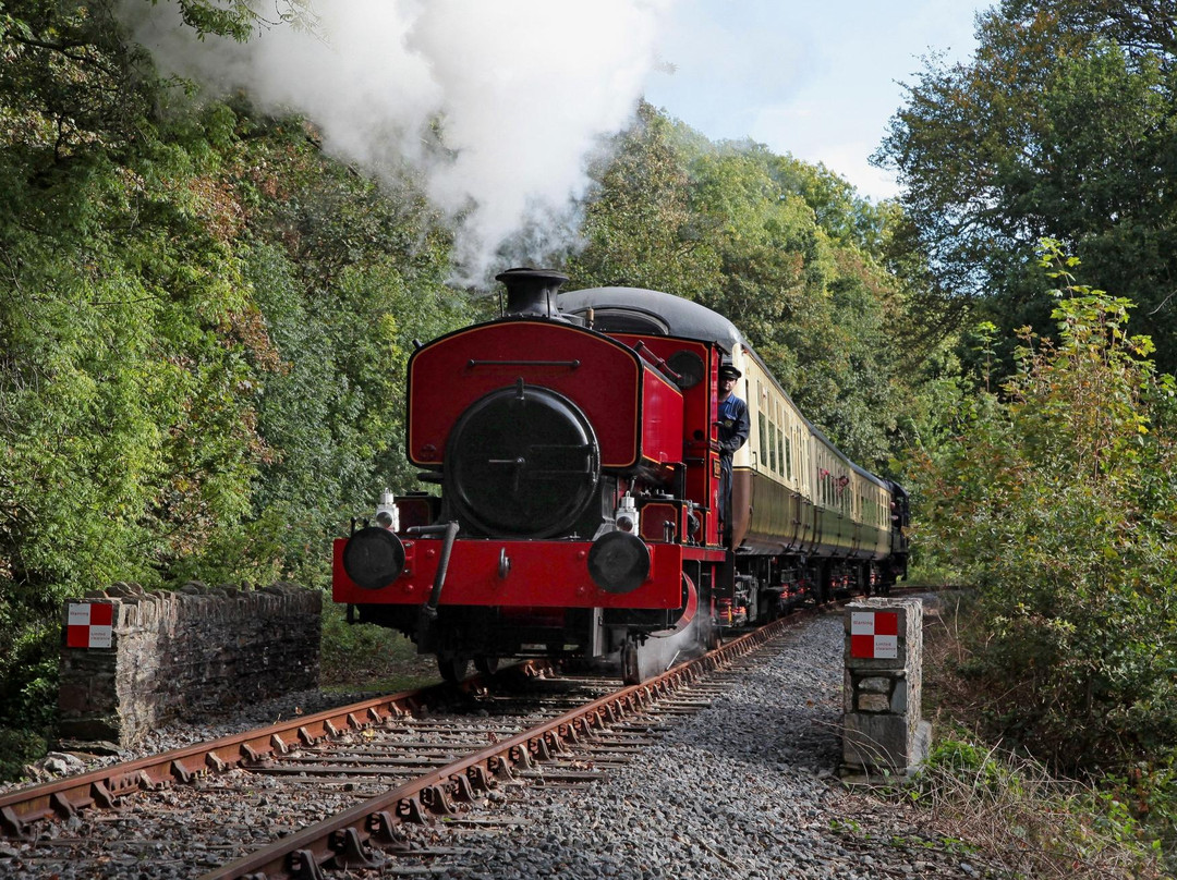 Plym Valley Railway