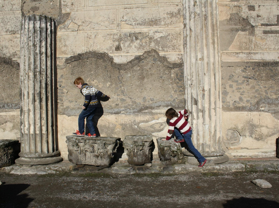 Visit Pompeii private guide tours景点图片