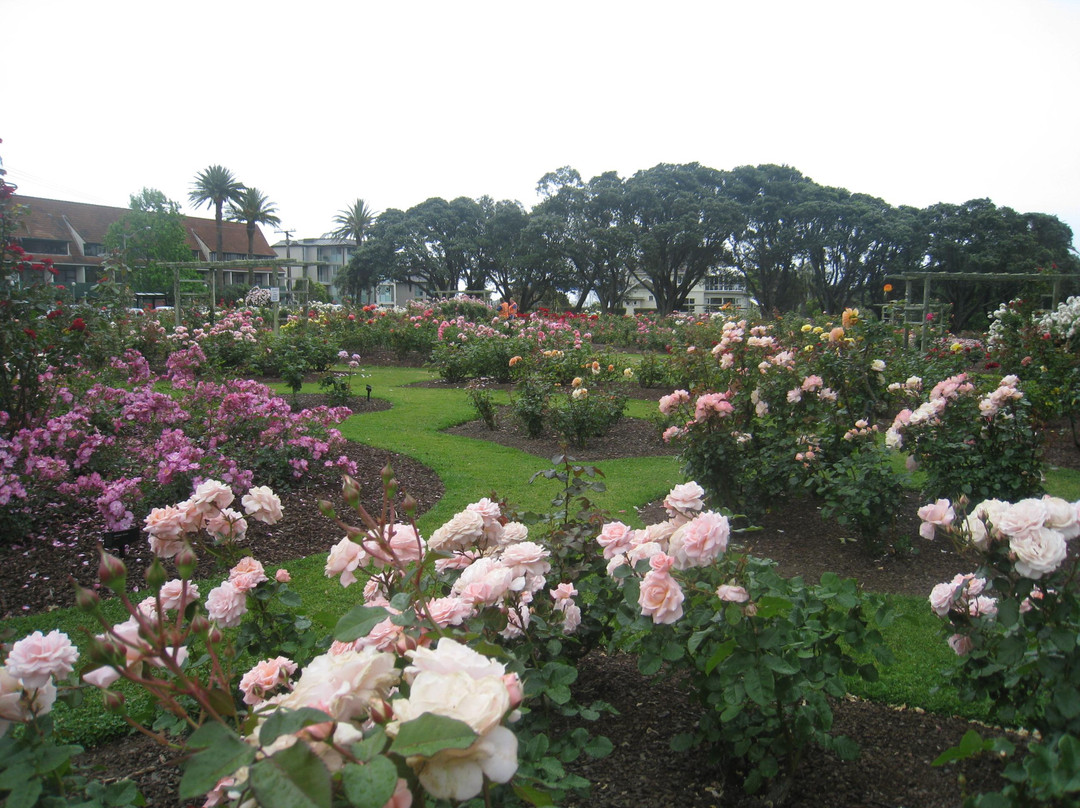 帕内尔玫瑰花园-奥克兰中心地区必去景点