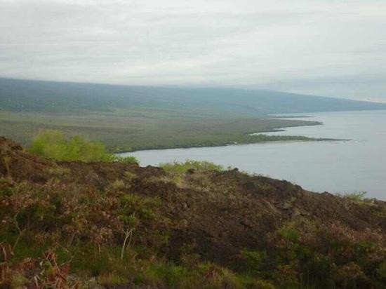 The Captain Cook Monument-库克船长必去景点