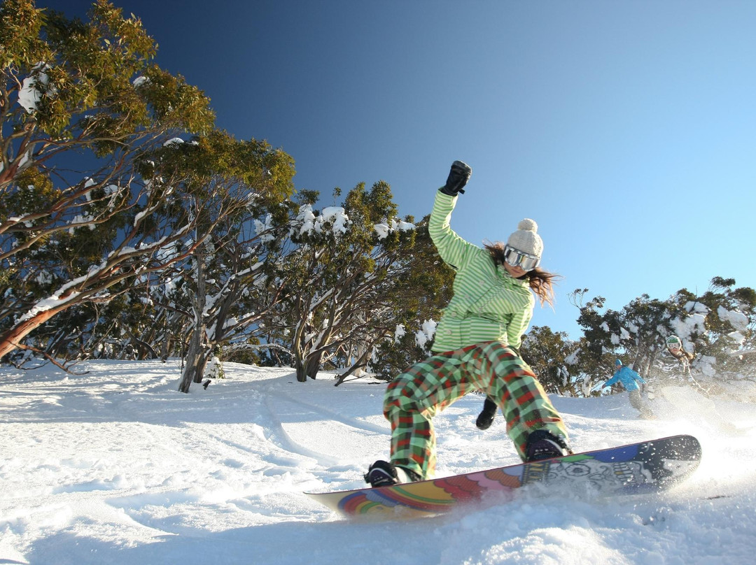 Mount Baw Baw Alpine Resort-Mount Baw Baw必去景点