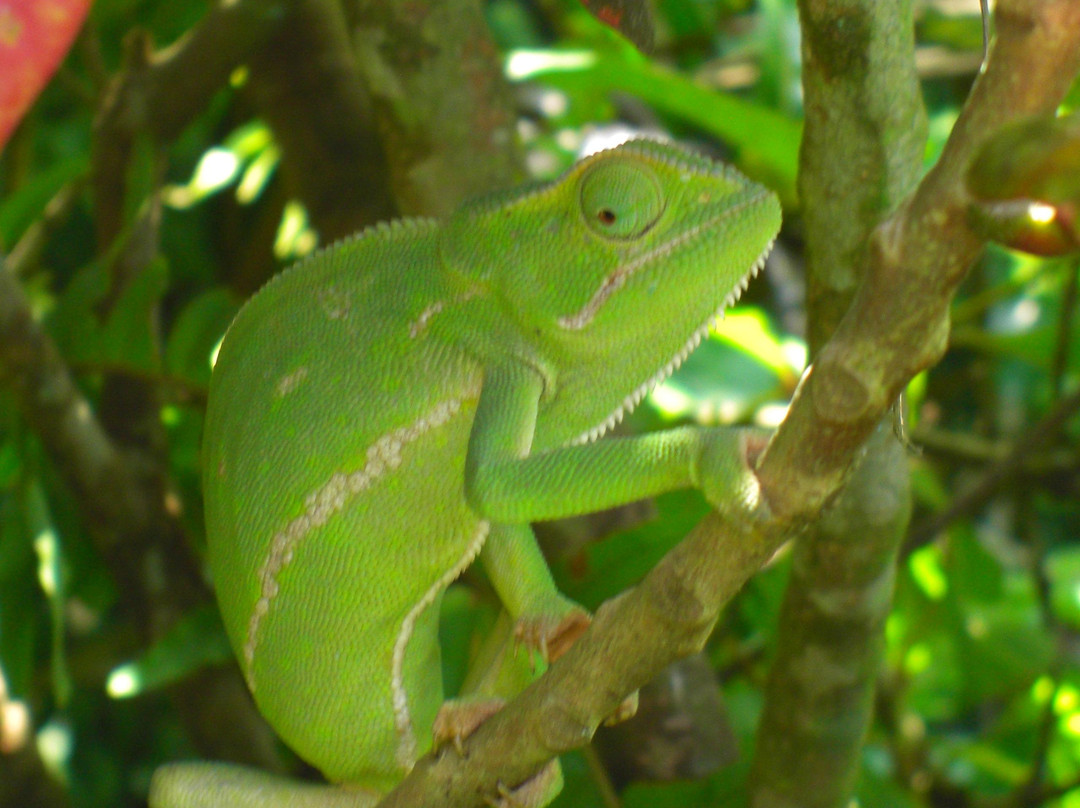 Seaforth Farm B&B主图