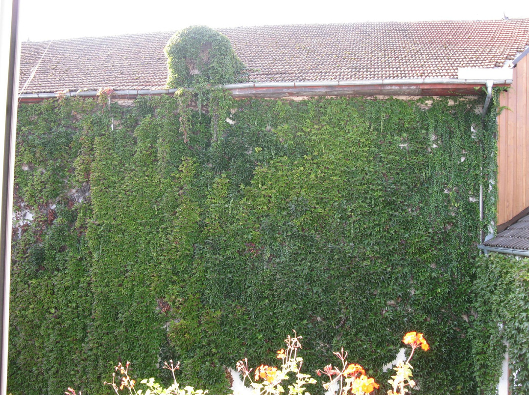 Stadthotel Erding主图