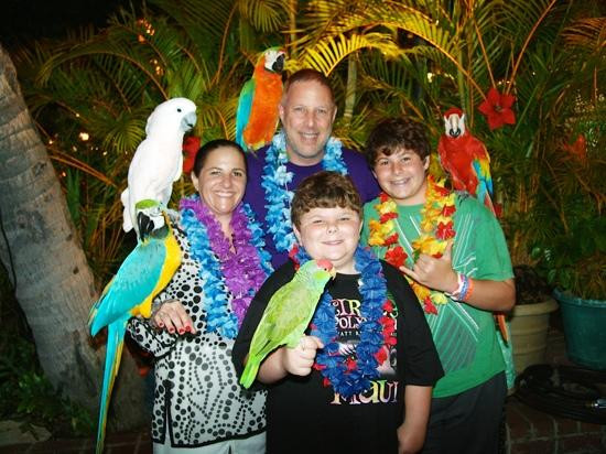 Lahaina Bird Stand-基黑必去景点