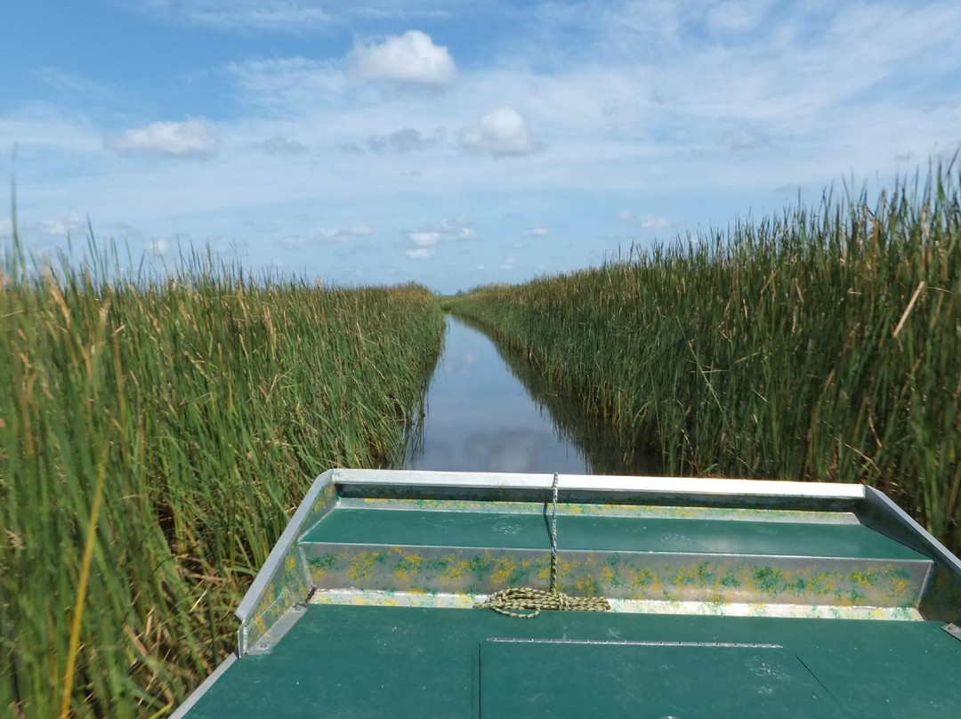 Airboat Express - Tours-Spanish Fort必去景点