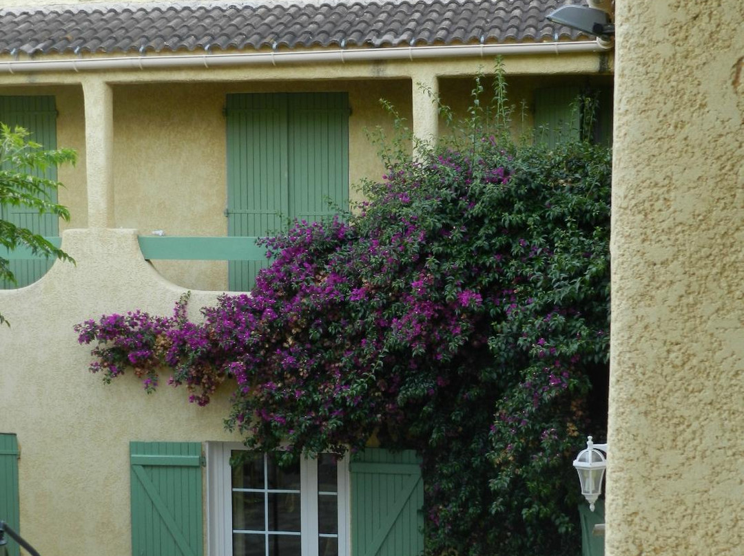 Auberge Les Oliviers主图