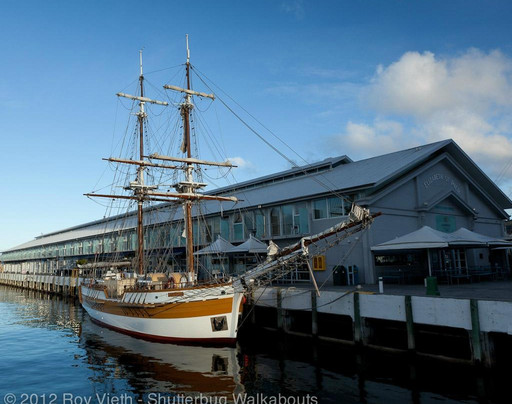 Shutterbug Walkabouts