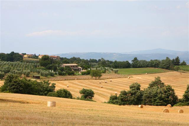 L’Uva e le Stelle