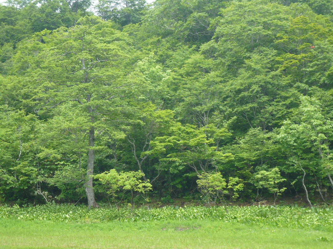 Amo Natural Park-飞弹市必去景点