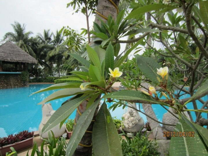 三亚湾假日度假酒店主图