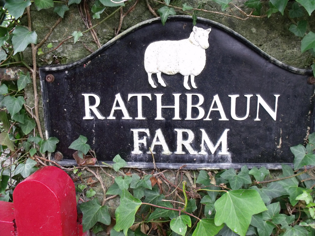 Rathbaun Farm景点图片