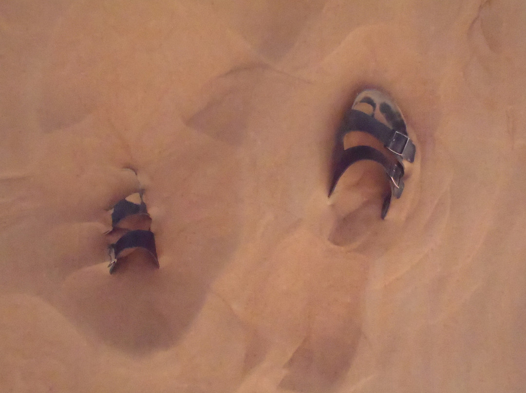 Desert Rangers-迪拜必去景点