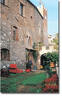 Azienda Agricola Padelletti-蒙塔尔奇诺必去景点