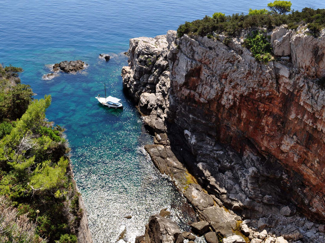 Lokrum Island景点图片
