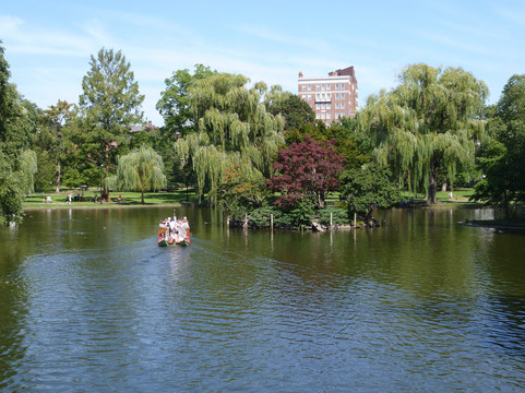 Swan Boats-波士顿必去景点