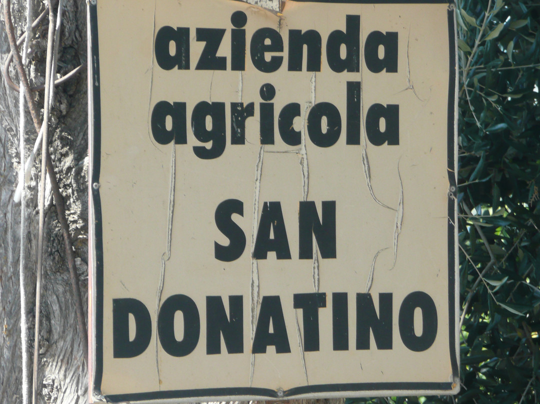 San Donatino-卡斯特利纳－因基安蒂必去景点