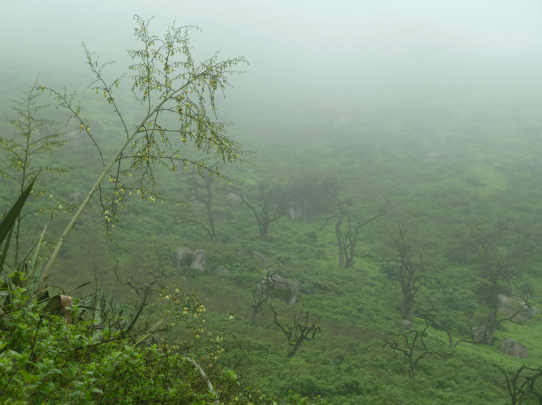 Reserva Nacional Lomas de Lachay-Huaral必去景点