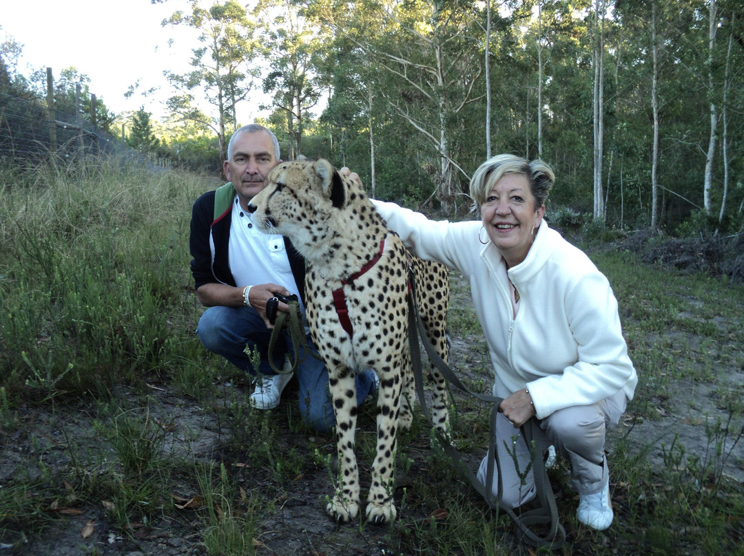 Tenikwa Wildlife Awareness Centre-The Crags必去景点