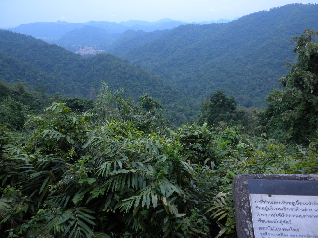 Khao Yai National Park景点图片