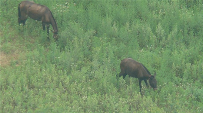 太极峡-十堰市必去景点