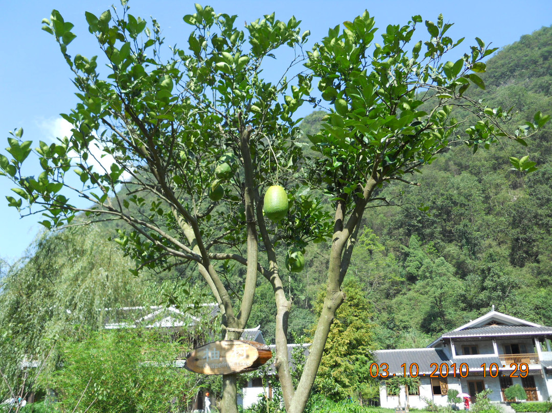张家界天波府-张家界市必去景点