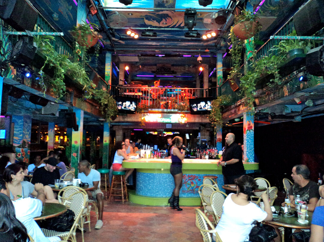 芒果热带咖啡厅-迈阿密海滩必去景点