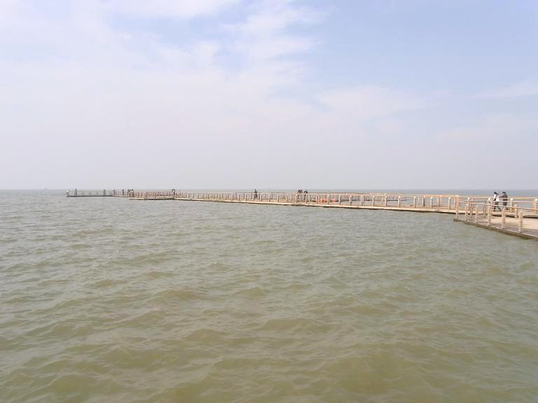 巢湖地区湿地-巢湖市必去景点