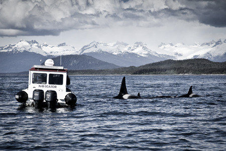Gastineau Guiding-朱诺必去景点