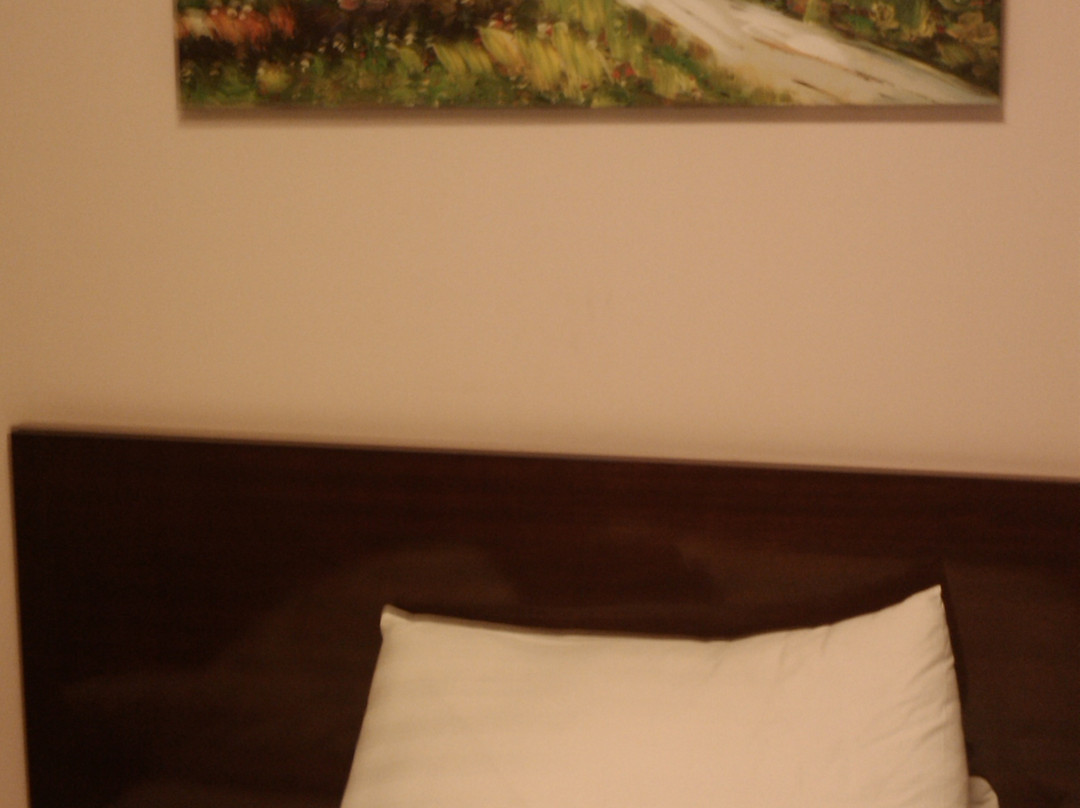 合肥天庭商务酒店逍遥津店主图