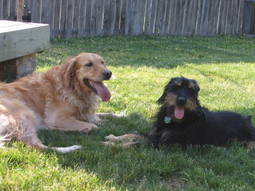 Hounds Tooth Inn主图