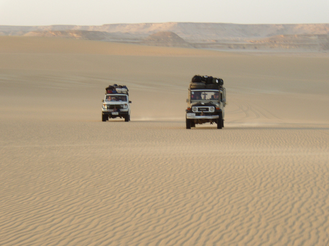 ‪Great Sand Sea ‬Tour-西瓦必去景点