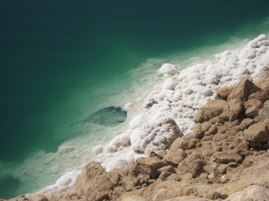 Dead Sea-达纳必去景点