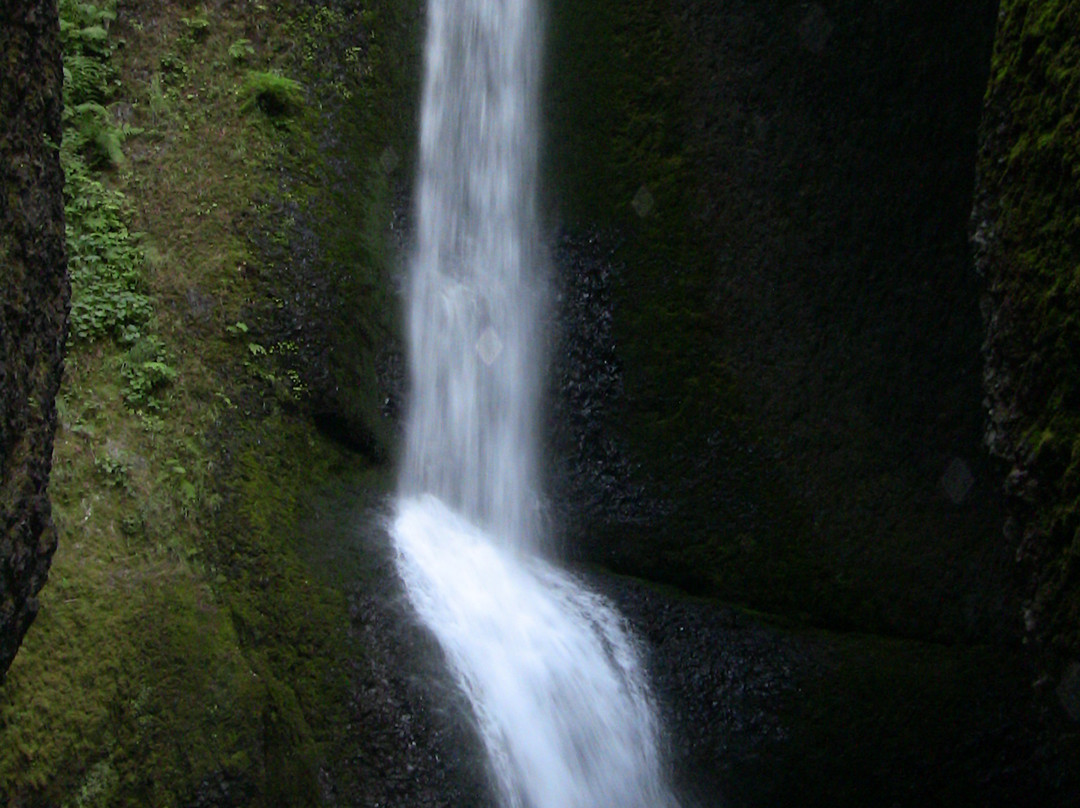 Oneonta Gorge-Cascade Locks必去景点