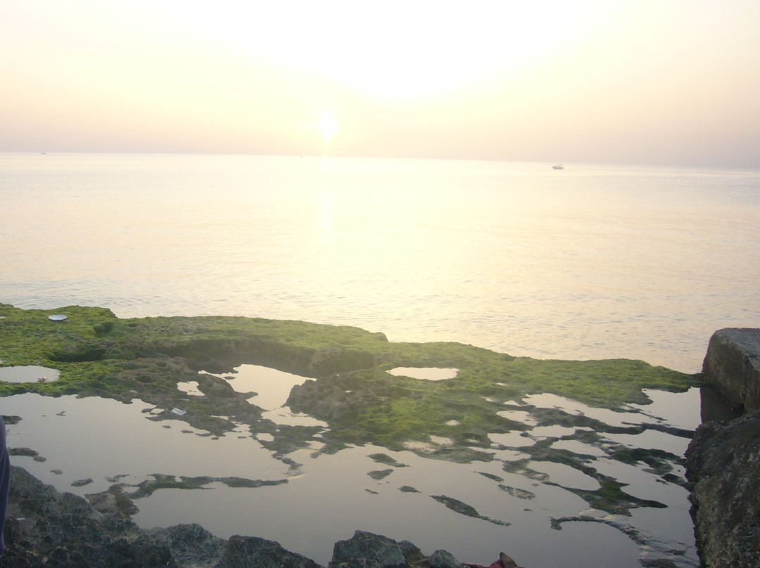 Arwad Island-塔尔图斯必去景点