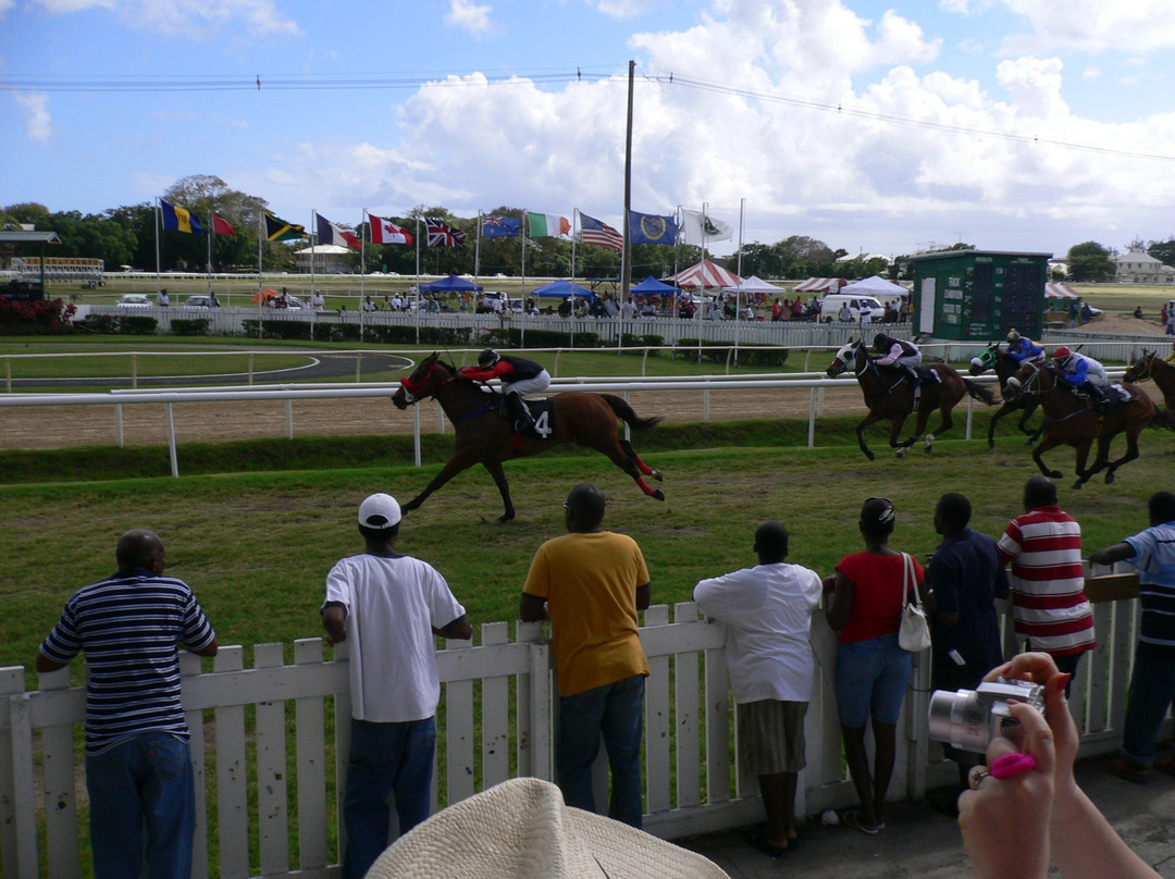 Garrison Savannah - Barbados Turf Club-布里奇顿必去景点