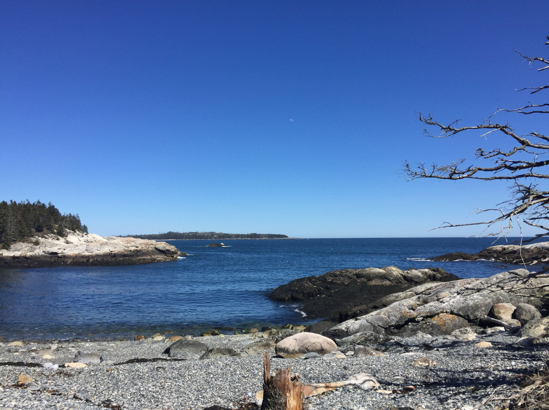 Duck Harbor Campground