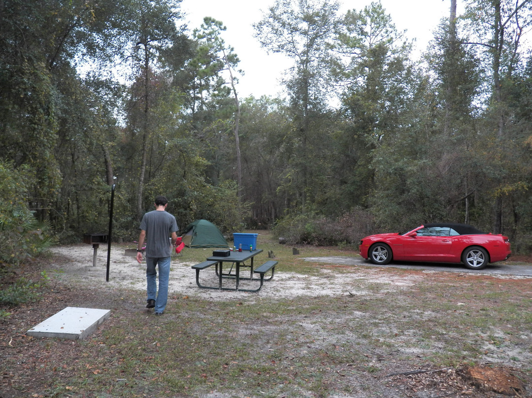 Ocala National Forest-Umatilla必去景点