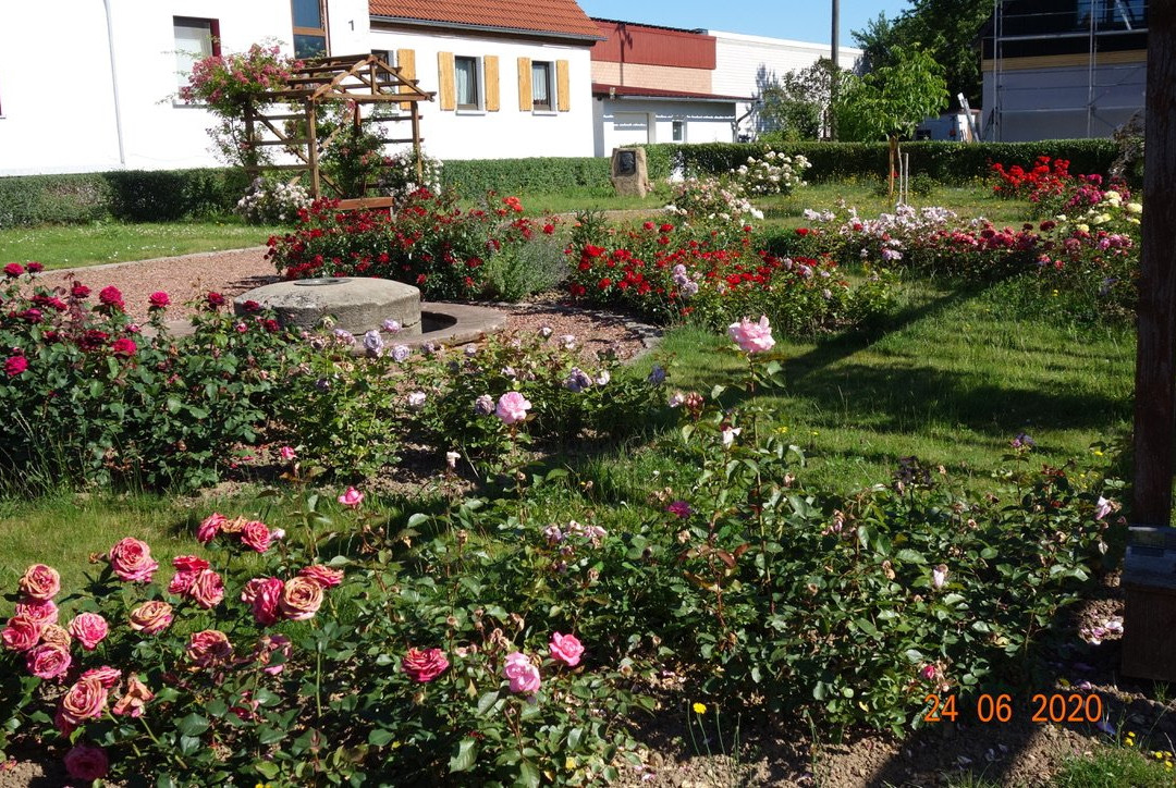 Rosengärtchen Schmitshausen