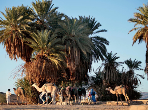 Morocco Holidays Travel