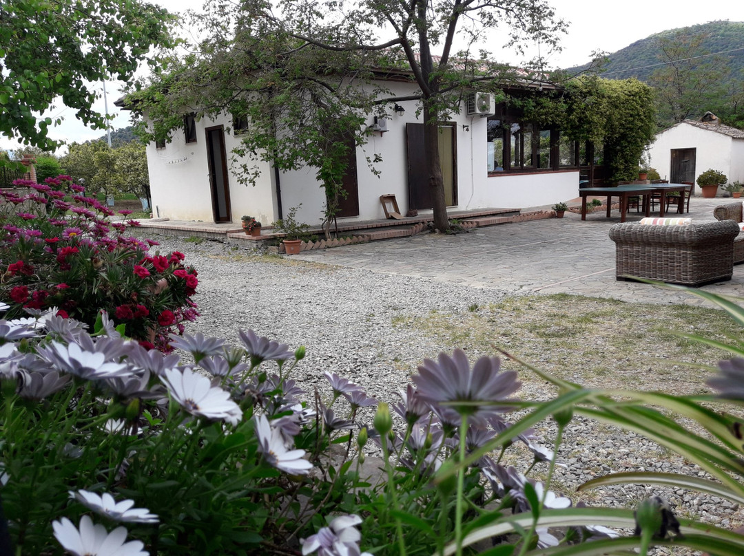 Torretta餐馆和美食-Agriturismo Aurea